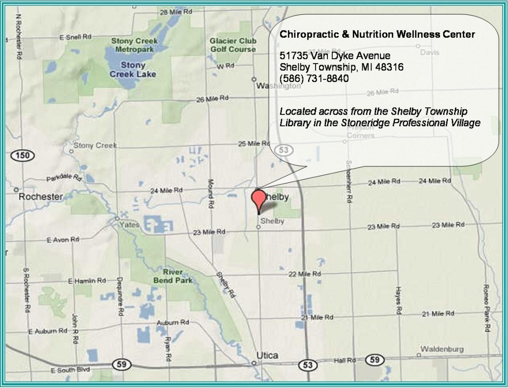 Michigan Chronic Pain