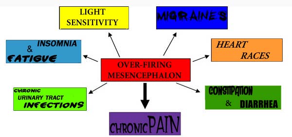 BBT Over-Firing Mesencphalon