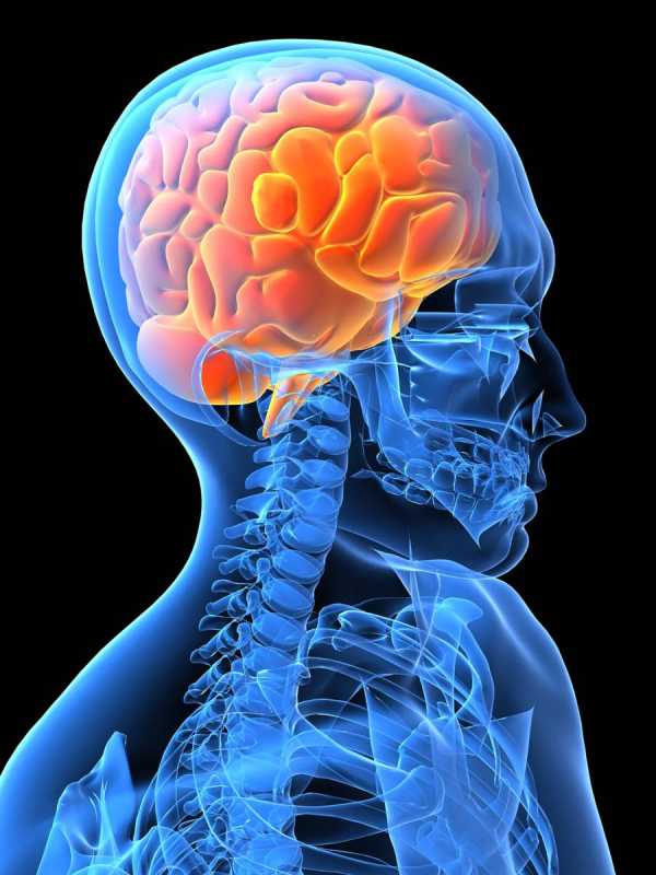 Three Keys To Brain Health And Healing Leaky Gut Syndrome