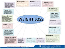 Weight Loss Wheel Image resized 600 resized 600