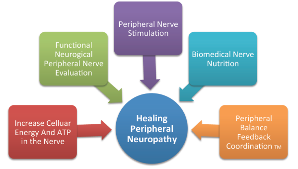 The Role Of Inflammation in Peripheral Neuropathy