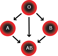 Blood Types and Illness