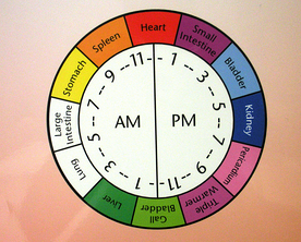 Body Meridian Clock resized 600