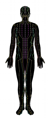 Acupuncture Meridians