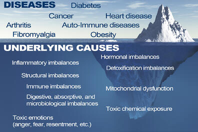 Functional Medicine HMCP