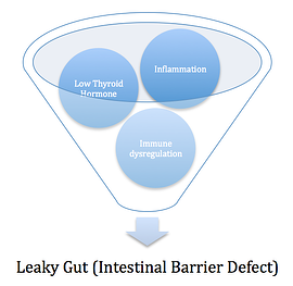 Leaky Gut Development