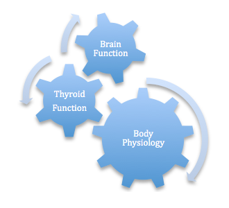 Thyroid Influences