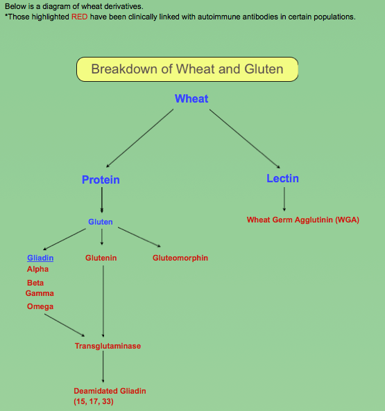 Breakdown Products of Wheat