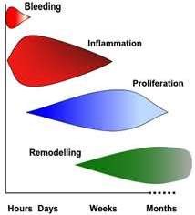 Stages Of Healing