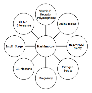 Hashimoto's Triggers