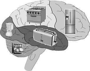 Fibromyalgia, Chronic Pain, Anxiety, ADD and Your Brain