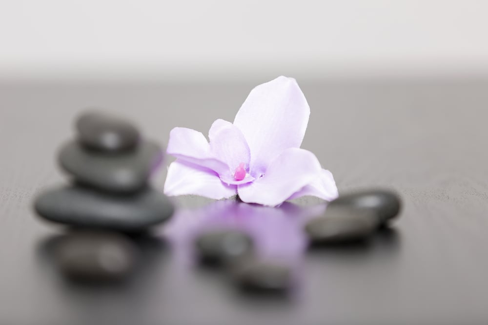 Pile of three spa stones with a purple Orchid flower head