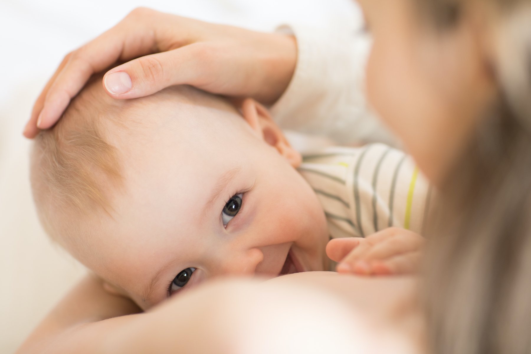 AdobeStock_Breastfeeding-1800