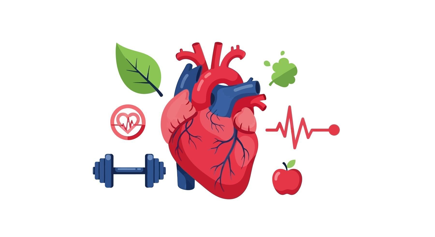 AdobeStock_Cardiovascular_Self_Care-1800
