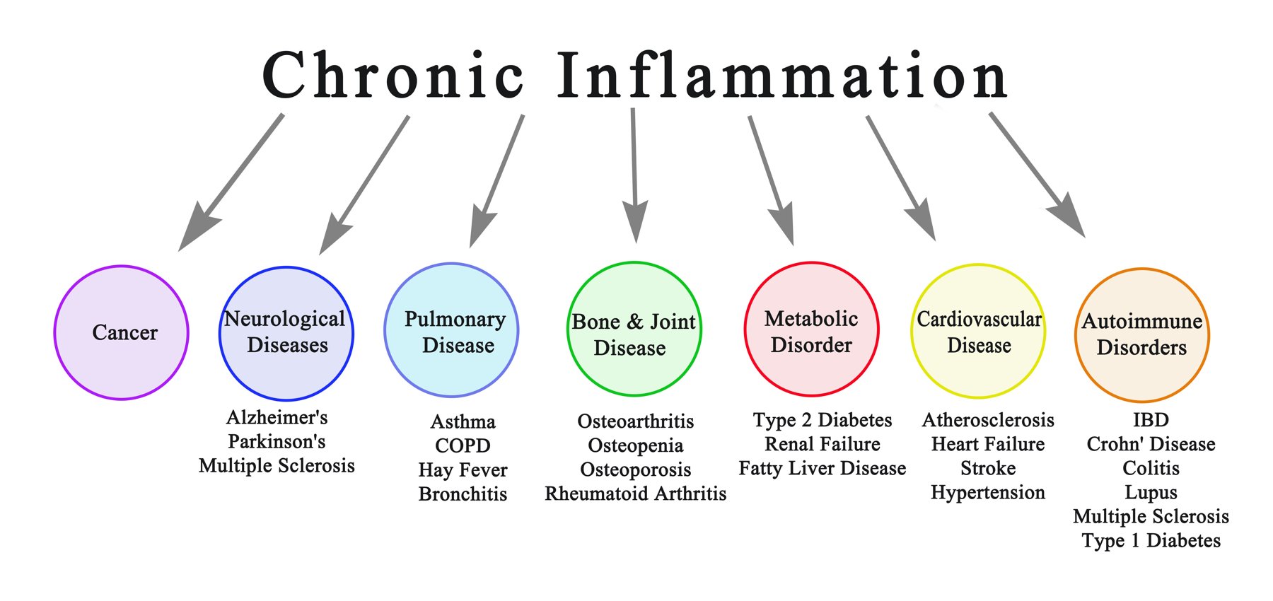 AdobeStock_Chronic Inflammation-1800