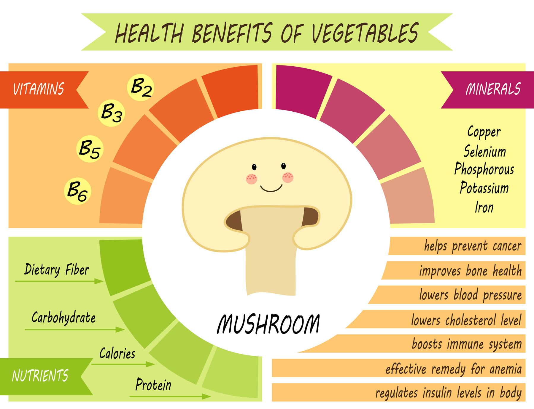 AdobeStock_Cute infographic page of Health Benefits of Mushrooms-1800