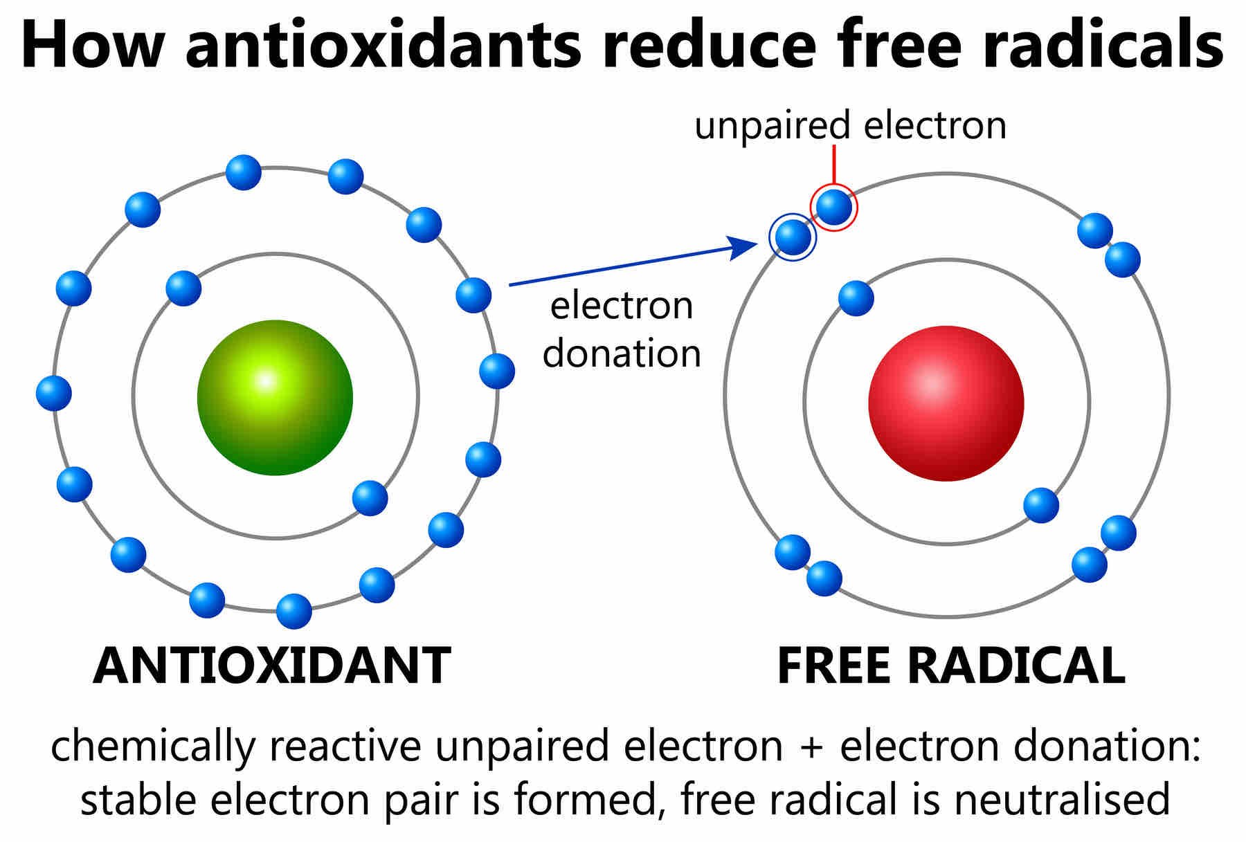 AdobeStock_How_Antioxidants_Reduce_Free_Radicals-blog