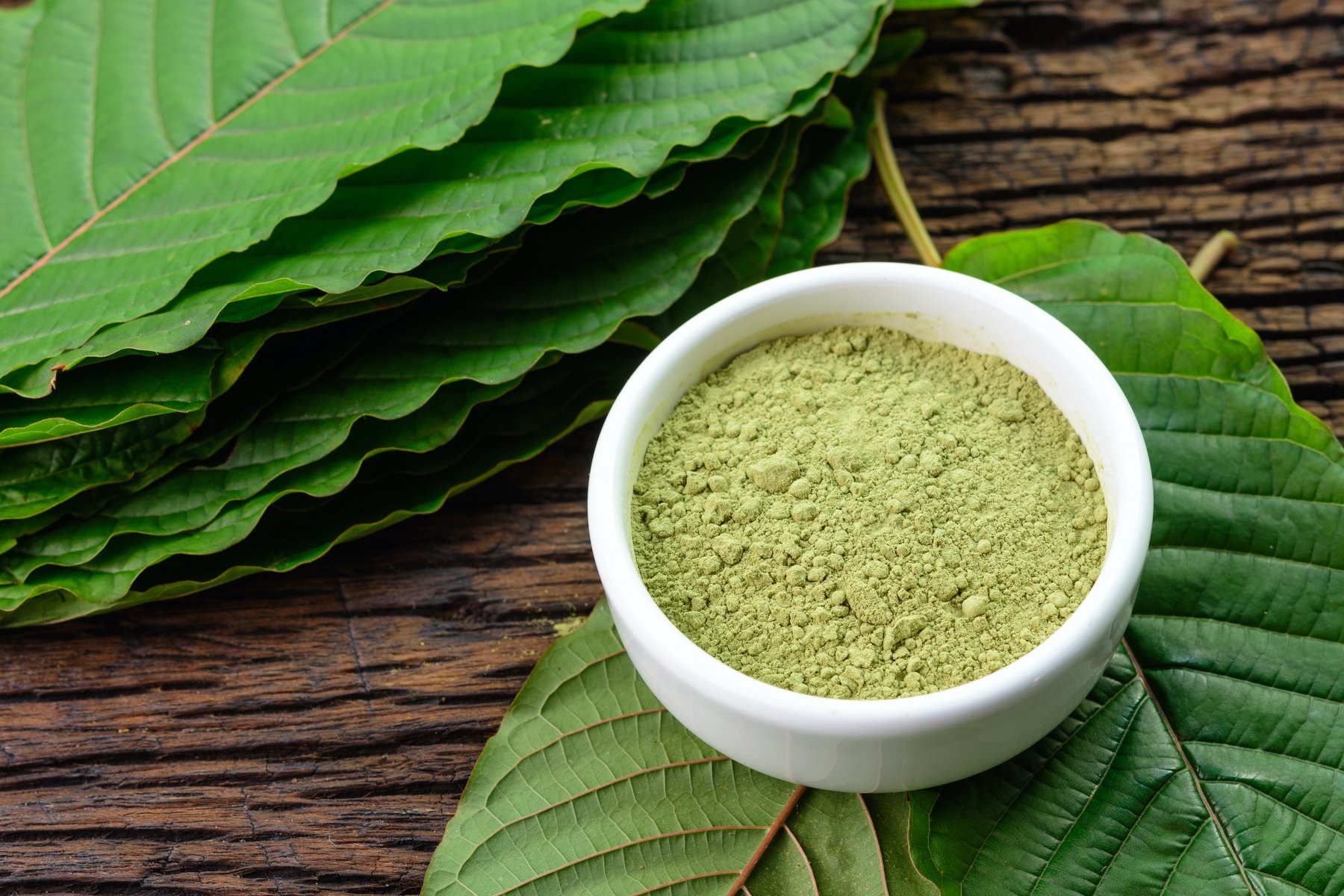 AdobeStock_Kratom Leaves with Powder-1800