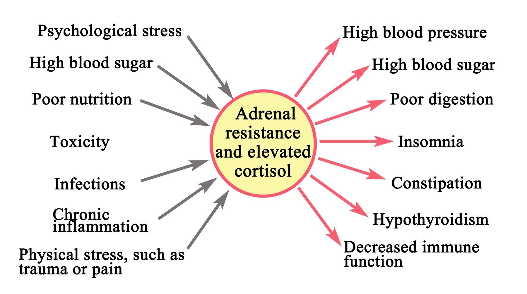 AdobeStock_Poor Adrenal Function Signs and Symptoms-1800