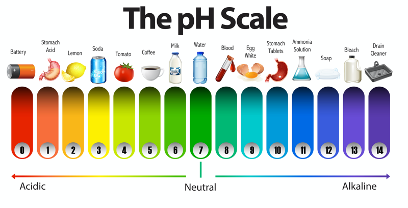 AdobeStock_The_pH_Scale-800