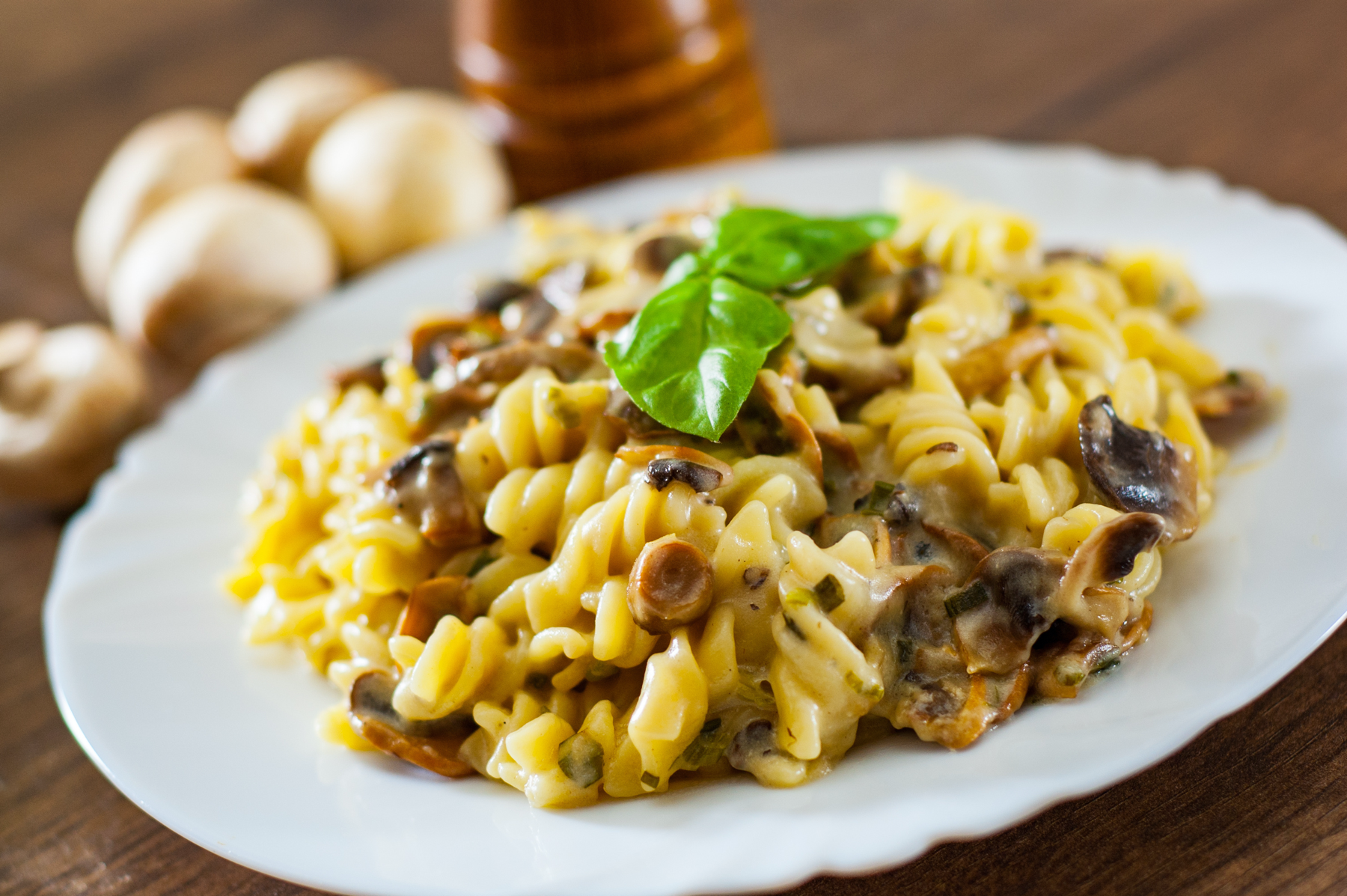 AdobeStock_usilli pasta with mushroom and cream sauce-1800