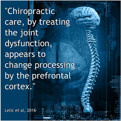 Chiropractic Adjustments Change Cortex
