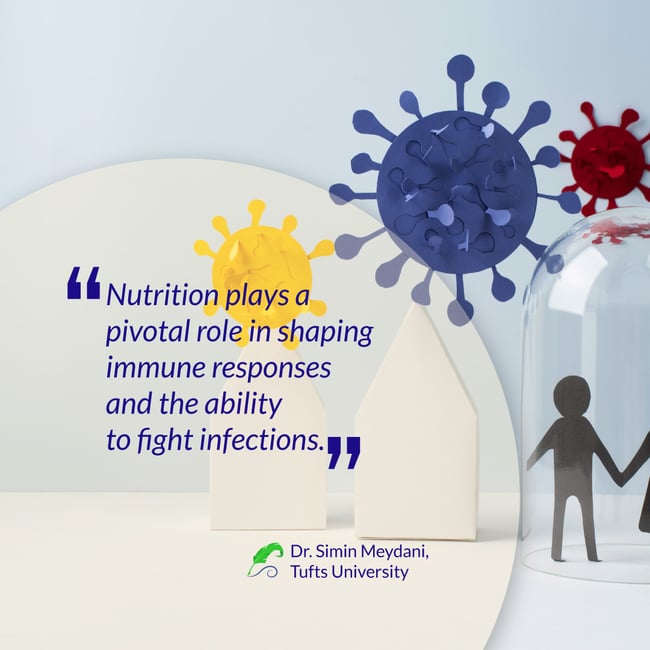 Immune_System_Food_Meydani_Tufts_University