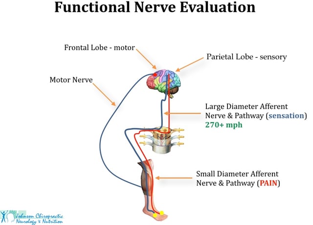 Functional Nerve Evaluation For Foot Pain