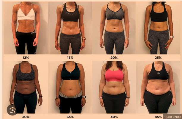 Photos_Female_Body_Fat_Percentage