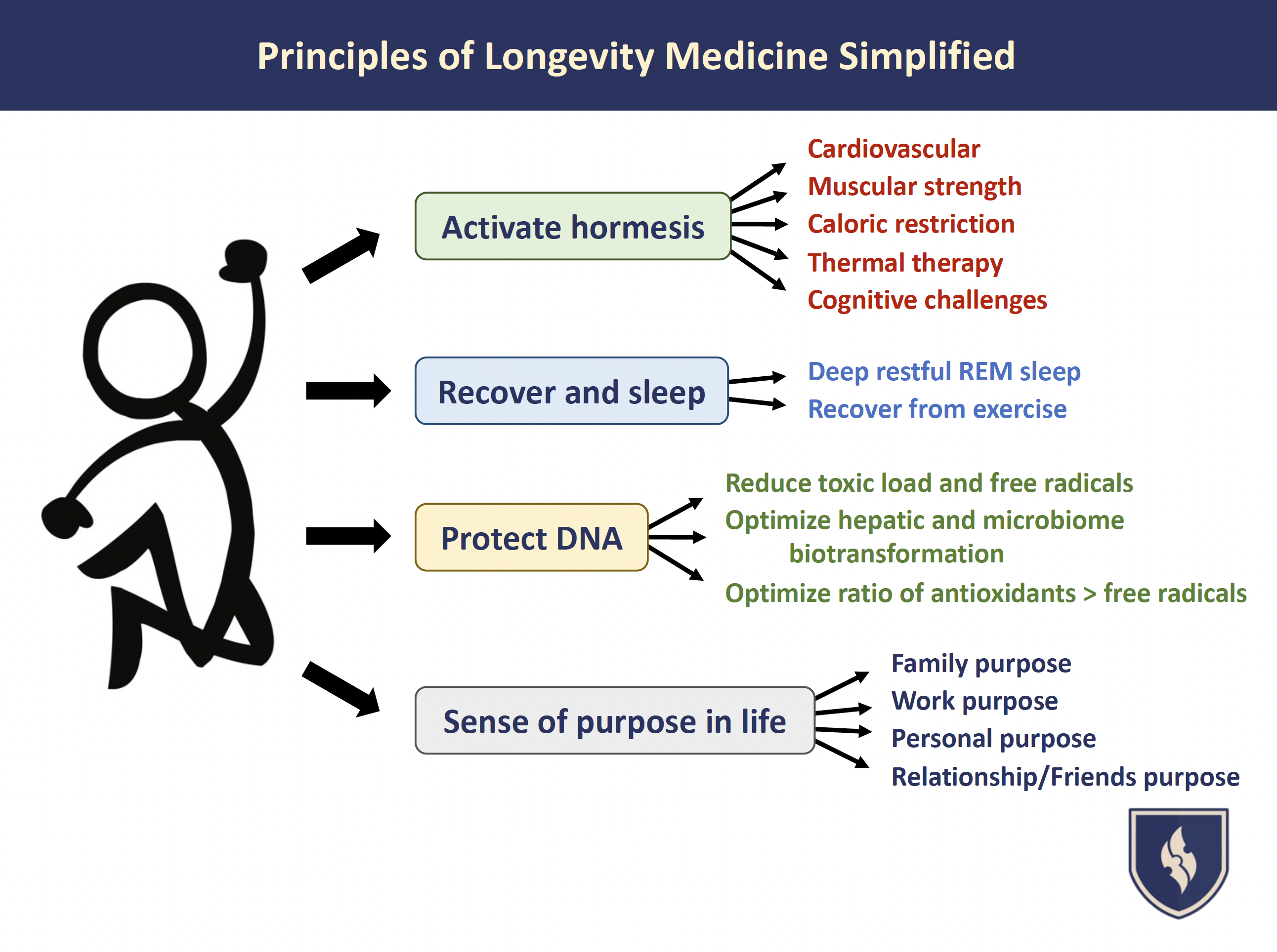 Principles of Longevity Medicine Simplified