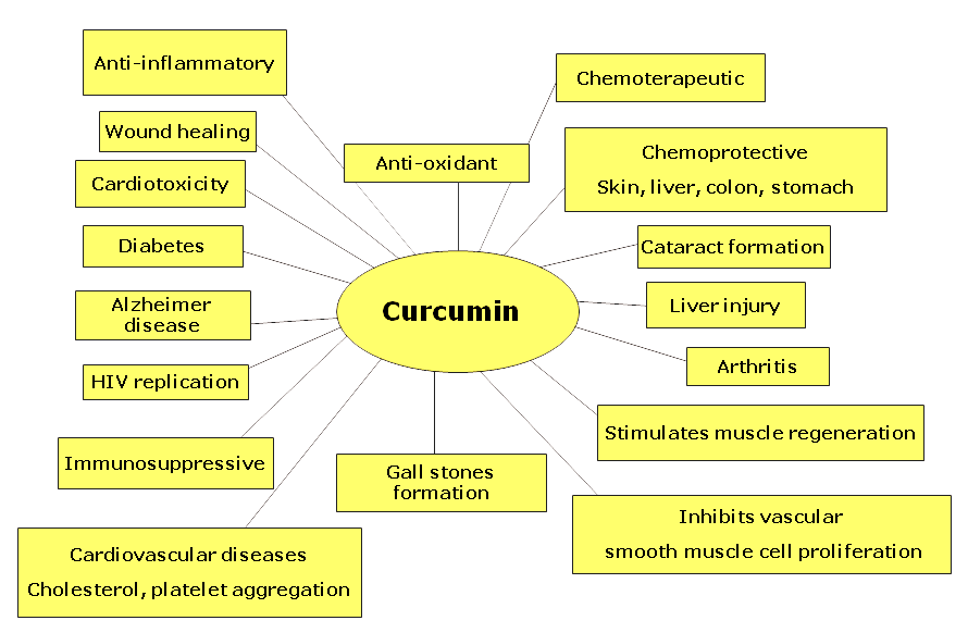 curcumin_health_conditions-3317