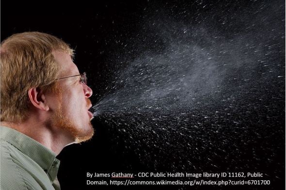 sneeze