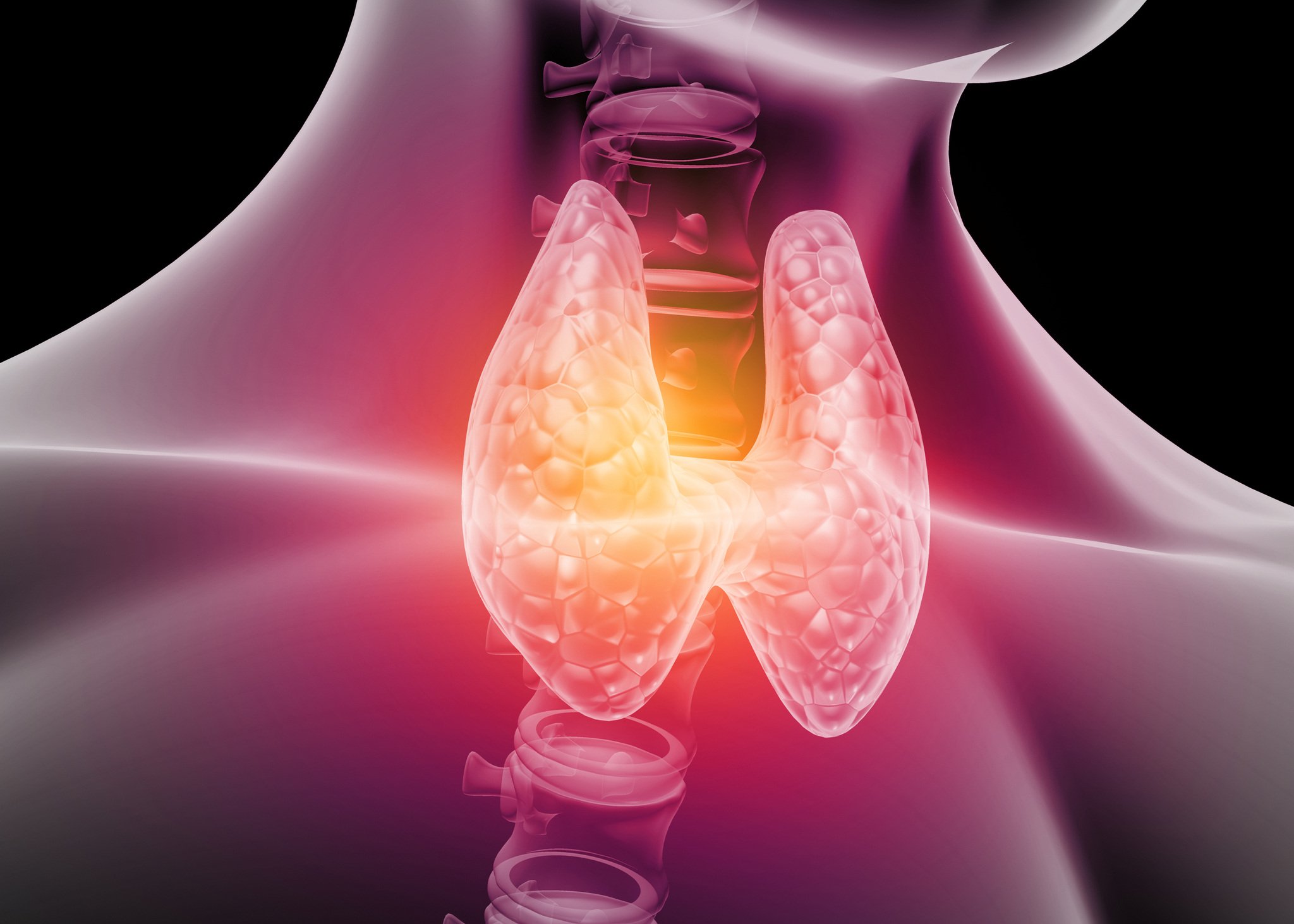 info.bioticsresearch.comhubfsiStock-1198780608
