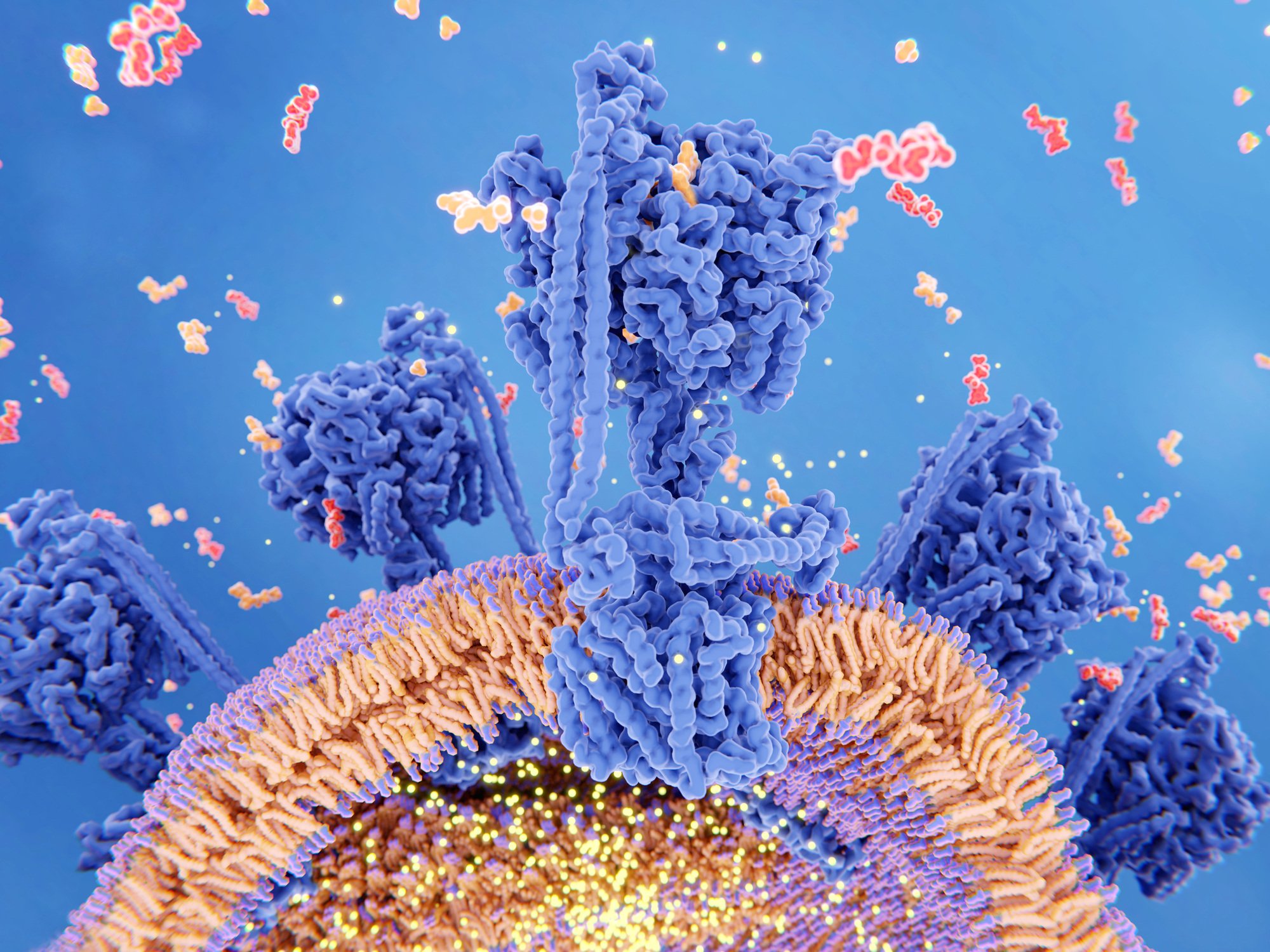 info.bioticsresearch.comhubfsiStock-969135864-1