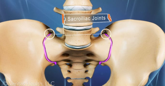 sacroiliac-joints