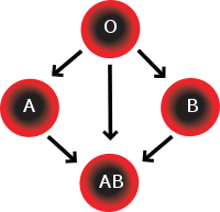 Blood Type Diet and Healing